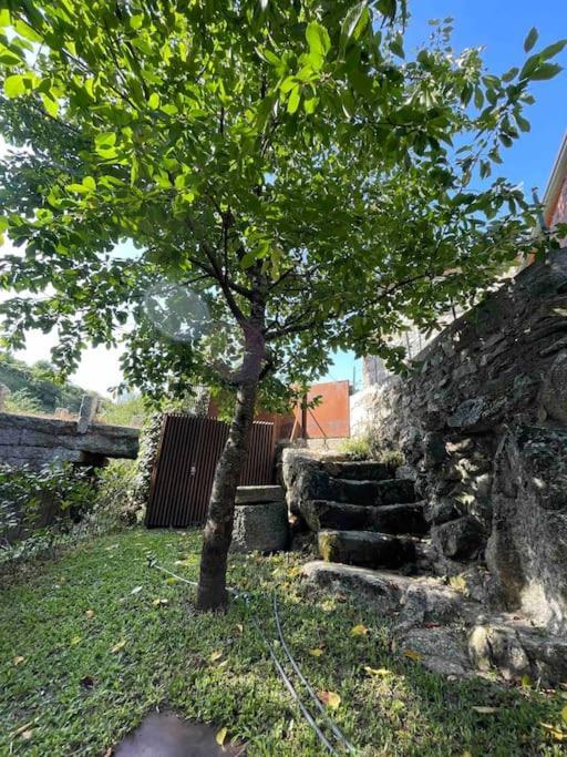 הוילה Casa Da Tintim Em Baião מראה חיצוני תמונה