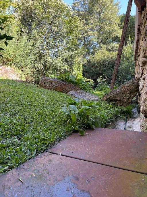הוילה Casa Da Tintim Em Baião מראה חיצוני תמונה